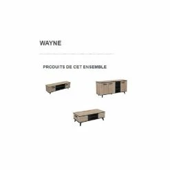 Demeyere Meuble TV Bruce 2 Portes 2 Niches -Ledepot Mobilier Magasin banc tv wayne 2 portes 2 niches 3