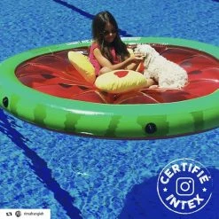 Pastèque Gonflable Grand Modèle 1.83 M Intex -Ledepot Mobilier Magasin pasteque gonflable grand modele 183 m intex 2